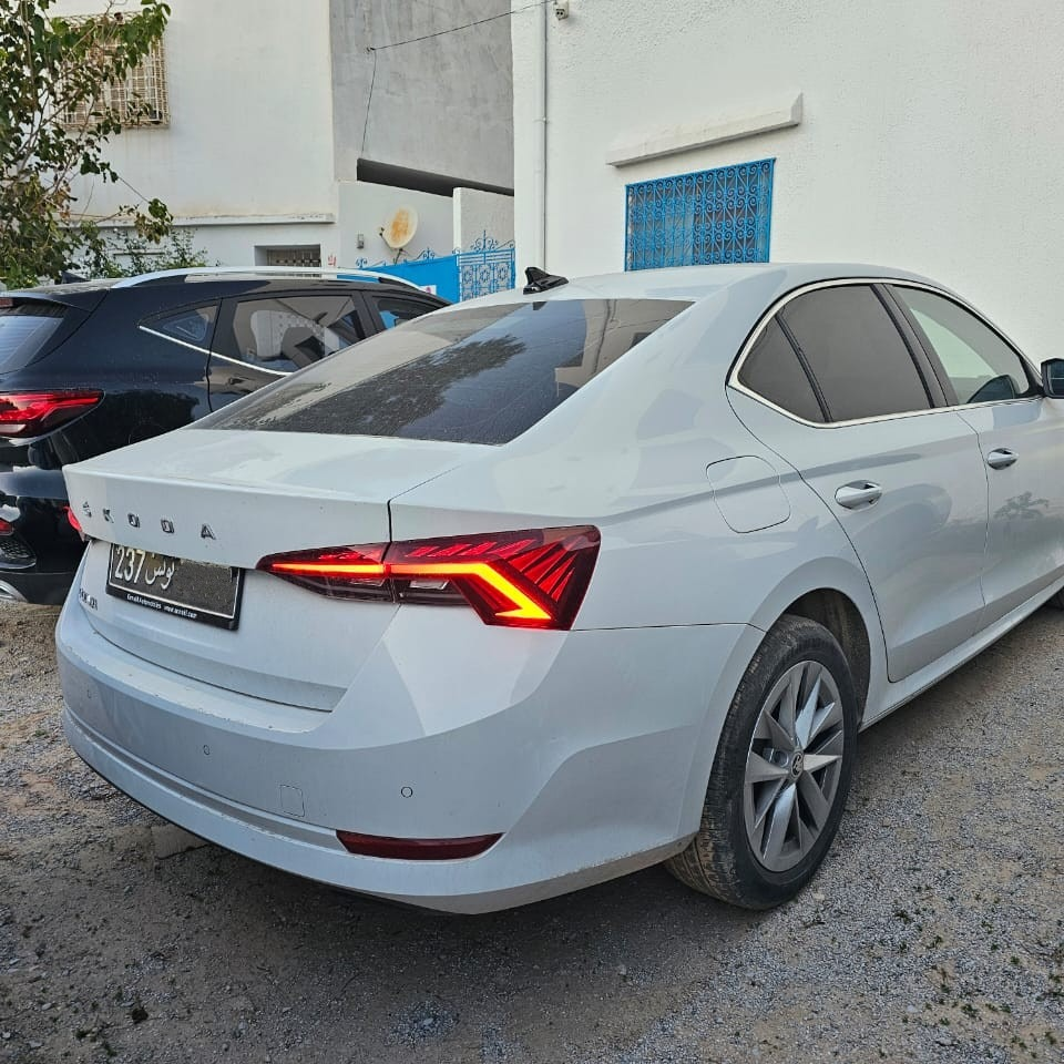 Carthage Transfer - Seamless Long-Distance Travel, Made Simple